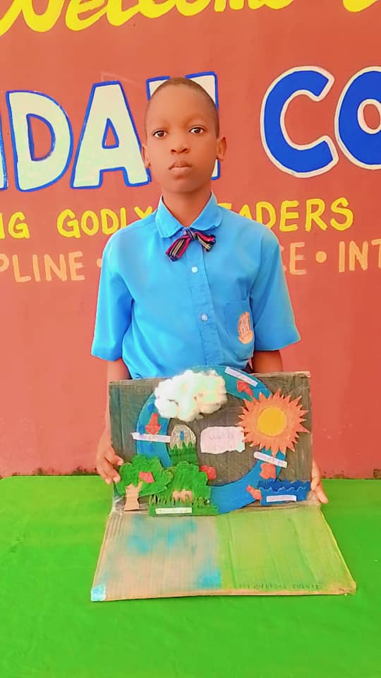 Grade 5 Learners Project Exhibition & Defence